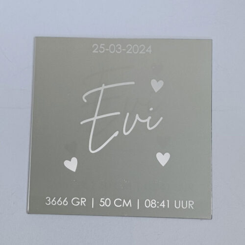 evi