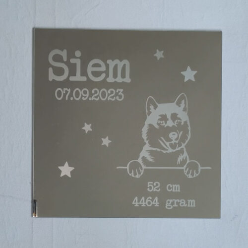 siem