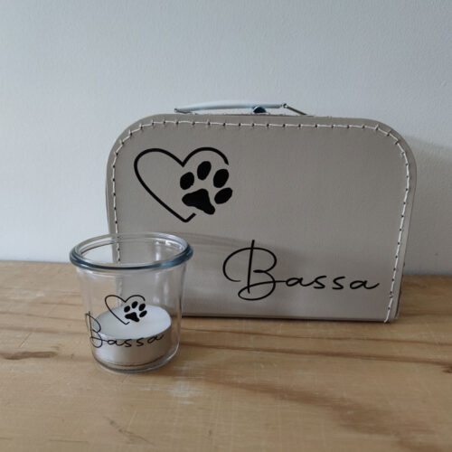 IMG_20240619_084944 IMG_20240619_084944